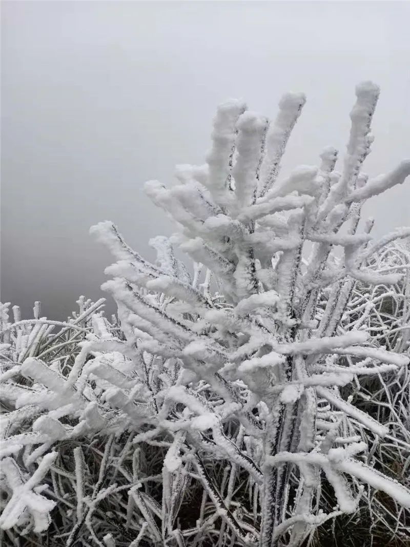 现场|环江的“网红打卡地”，没到过现场的朋友速来围观！