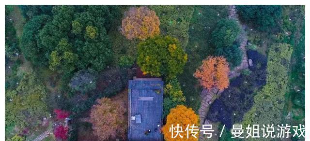 园区|奥莱旁“24开24罄”的传奇小区交付,看完后“红盘”都不香了