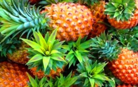 排毒|想长寿先排毒，常吃的食物，促进肝脏解毒，增强体质