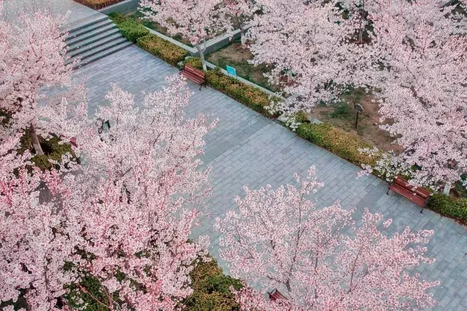 摄影|烟台，去10000次都不够
