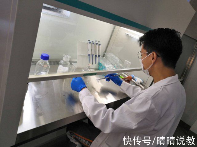 浙江大学|浙大博士和蜜橘商家的聊天记录火了,一句话让人破防,结局更暖心