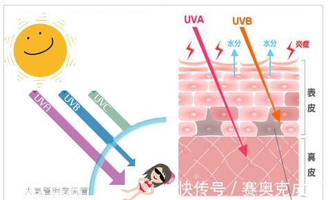 卸妆|干皮、油皮、敏感肌怎么选防晒霜?四大防晒知识,防晒小白必看!