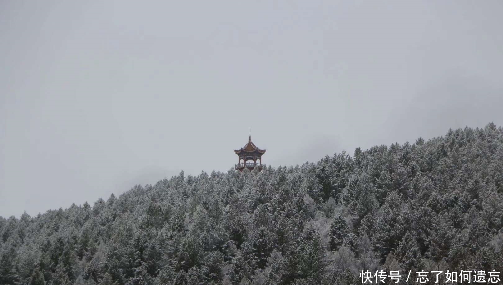 谷雨时节请到塔河来看雪