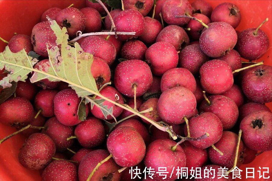 山楂上市季，教你自制山楂罐头，没有添加剂，酸甜可口孩子爱吃