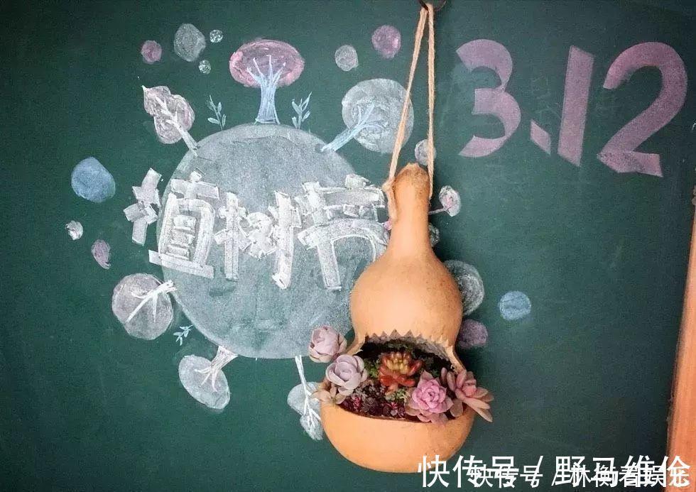 el多肉的花样养法,7种花盆全是自己造的,省钱又好用!