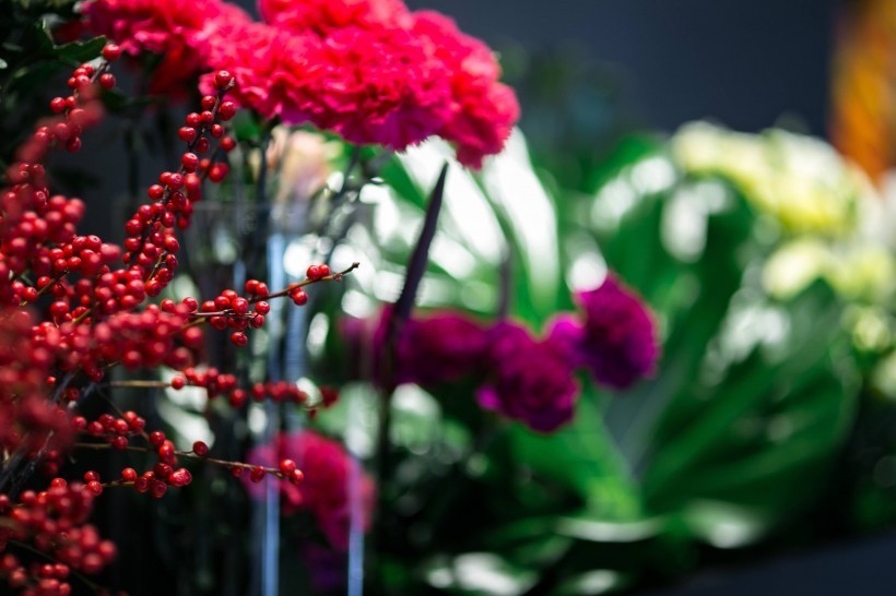 过人|财多运旺,孩子聪明过人的四属相女,你疼她入命,她旺你发财