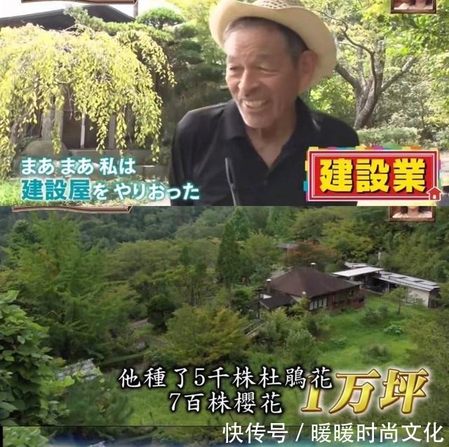 房好吃惊|23年种5700棵树 这个老人把荒山建成了森林公园