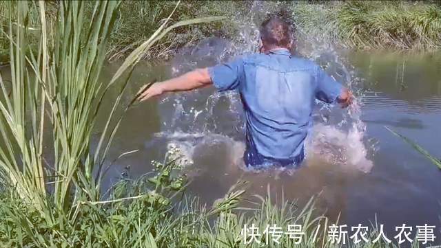 疯狂！男子钓鱼遇“空军”，直接扔掉鱼竿放大招，网友：长见识了