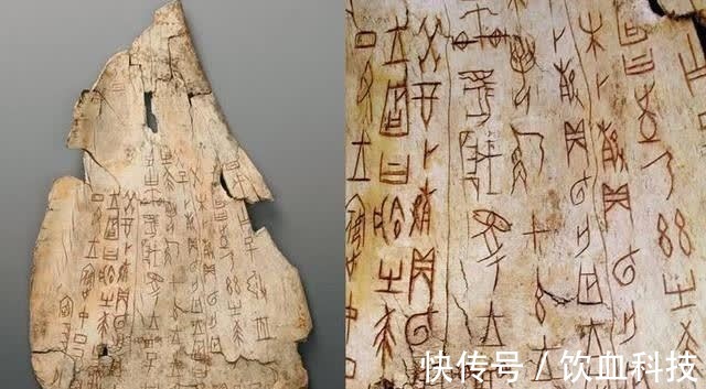 王懿荣|清朝一敷就能止血的金疮药,为何后来消失了,看看原材料就能明白