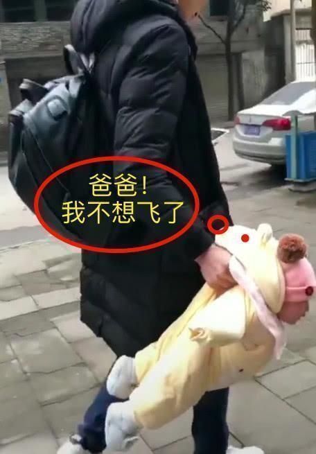 遛狗|“大力士”小姨火了，一手遛狗一手拎娃，网友想当小姨夫