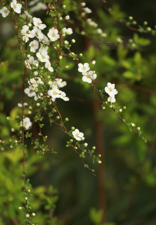 时光!二月,用心情映衬春景,用美好编织时光