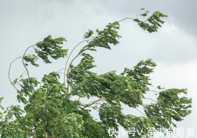 秋燥|三伏最后10天！末伏養生，牢記四不要，身體健康不留病根