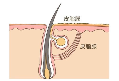 洗澡要不要搓泥？多久洗一次澡？一文读懂洗澡的真相