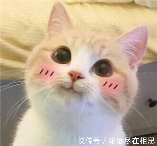 |笑话：那天放学，俺对班主任说：你等着吧，我爸要找你秋后算账。