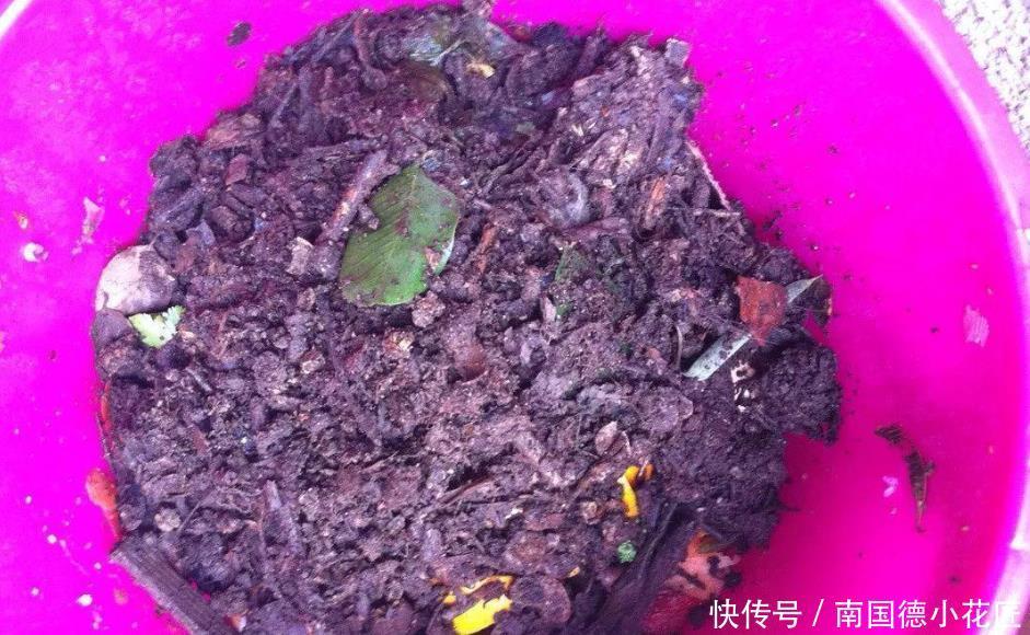 肥土|掌握堆肥的材料挑选注意事项,轻松得到健康的肥土