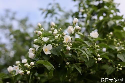 白羊座|家运能否昌隆，与这3个星座女密切相关，和气生财