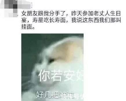 |不好意思, 我真的被这些朋友圈写段子的逗笑了!