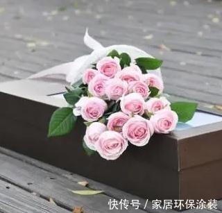 杯状|雪山系列的月季花,瓶插简直太美了