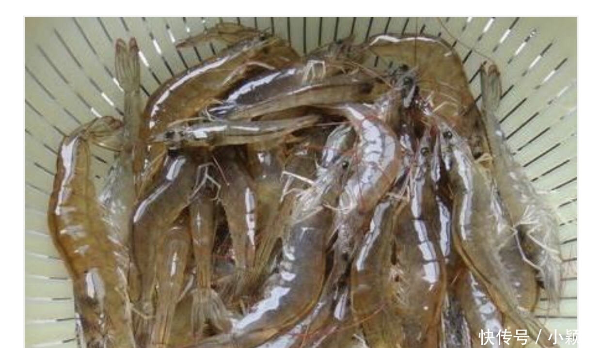 白水煮“白灼虾”是冷水下锅还是开水下锅?大多人做错,不鲜嫩