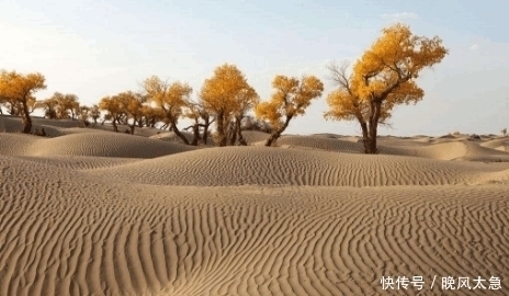 知识|我国沙漠到底有多深呢看完真的长知识了