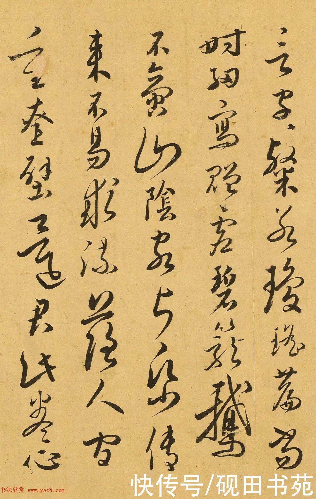 胡子昂#明 胡子昂 题吴叡隶书老子《道德经》,堪比赵子昂?