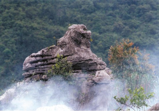 广电旅游体育局|36三衢石林