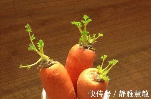 西红柿|都说多吃蔬菜对身体好,但营养师奉劝:5类蔬菜早在“黑名单”中