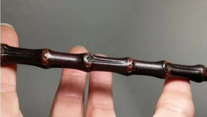  挺好玩|这几种竹子挺好玩的