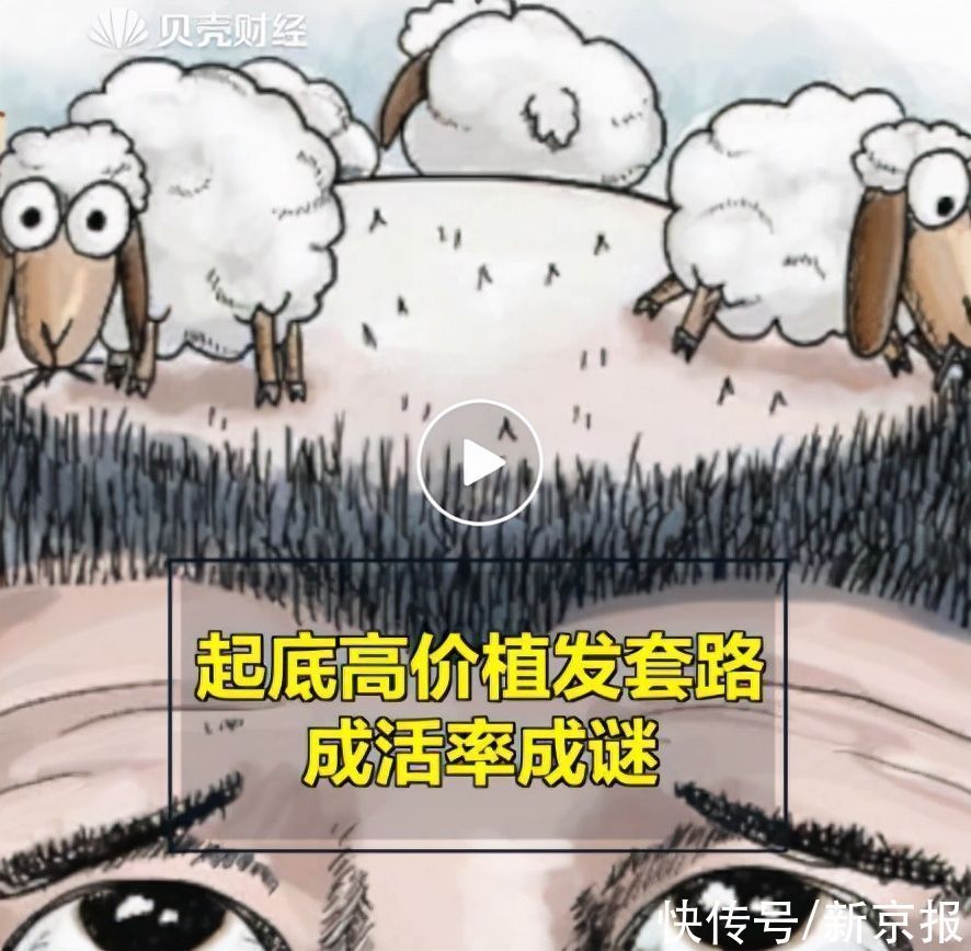 培训机构 “三天学会”“月入百万”?植发手术需要的是医生,不是速成班学员