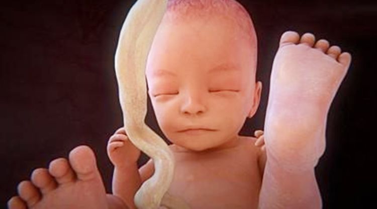 妈妈|在孕期,胎动频繁的宝宝是不是性格很调皮?性格娘胎里就已经定了