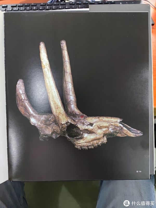 图书馆#图书馆猿の2021读书计划60：《灭绝与演化：化石中的生命全史》