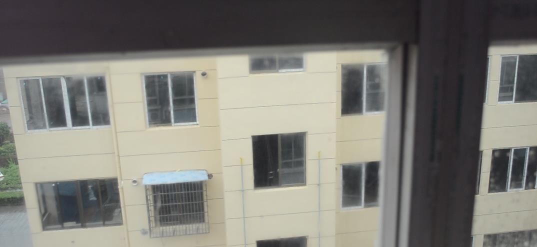 烟头加洗衣粉用水泡一下, 没想到还有这个作用, 看完你会感谢我的