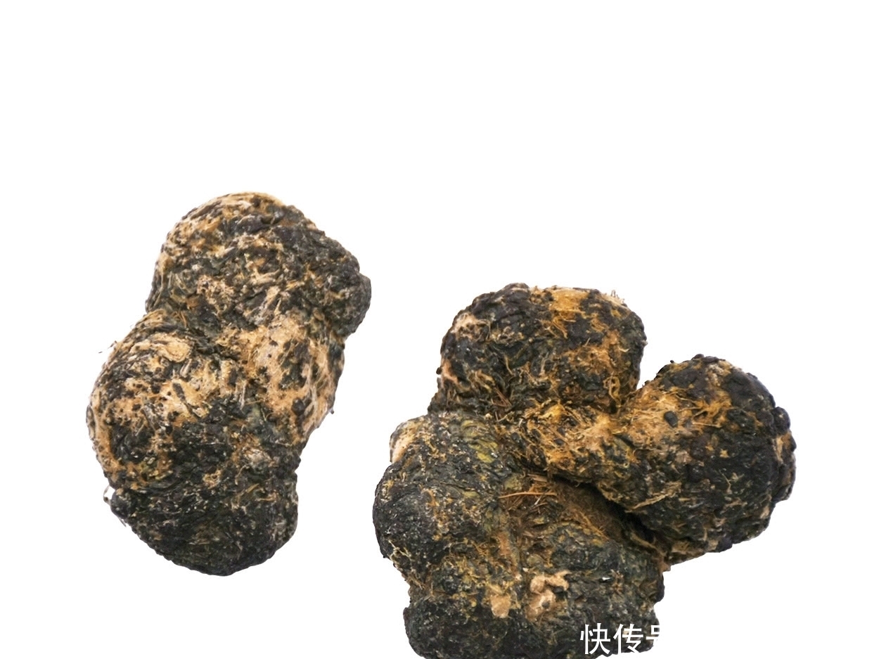 何物|羊宝究竟为何物?