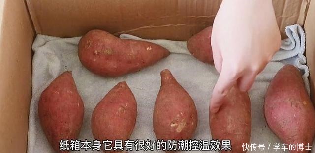 保存红薯,放地上就错了,教你3个土方法,放上半年都很新鲜!