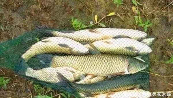 夏季手竿钓大鱼4大秘诀，常用这些招数，大货也能连竿上