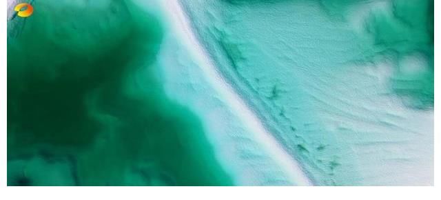 节目|一档故意想让人睡觉的节目，《风度中国》也太反常规了吧