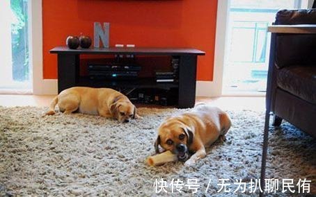 妙用|小苏打在生活中还有这些妙用, 你知道几个