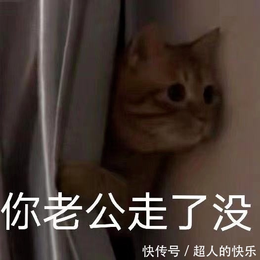 沙雕|表情包丨沙雕聊天表情包