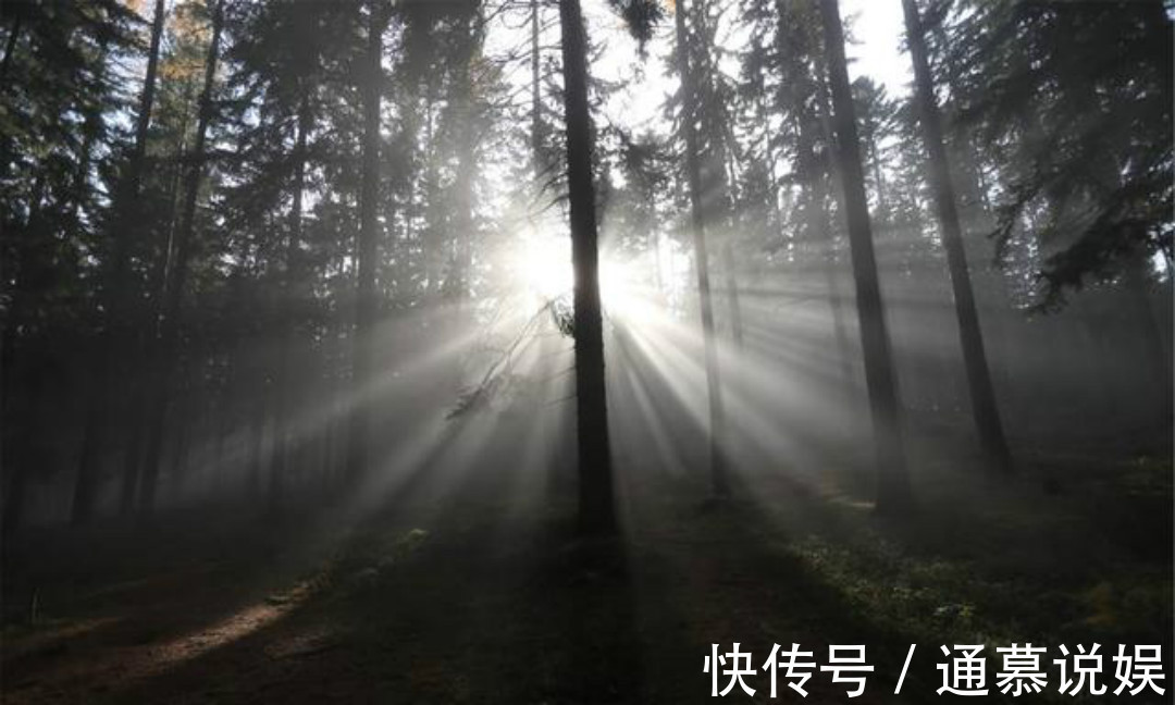 秋夜独坐&王维晚年写下的这首禅诗，通篇意境高远，同时每一句都有大智慧！