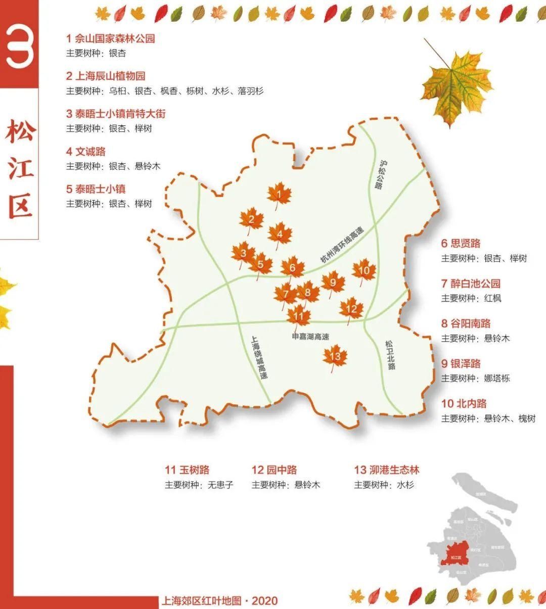 赏叶|松江红叶地图来了！13个赏叶好去处为您导航