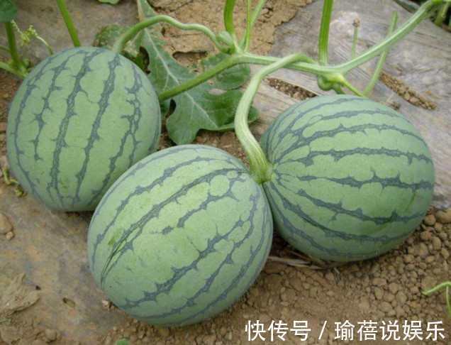 湿气|在夏天,三种水果要少吃,越吃湿气越重,可惜很多人不重视!