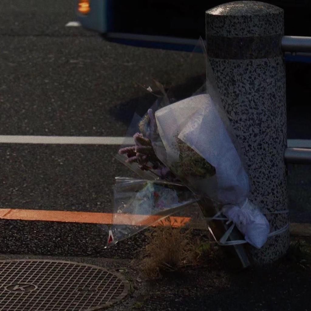 父母|三观超正的温柔文案:这一生的温柔记得给父母留一份