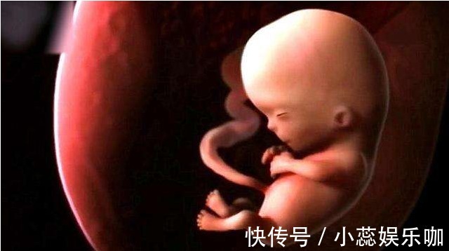 畸形|你知道胎儿畸形高发期在哪周吗?“危险期”要注意,熬过就轻松了