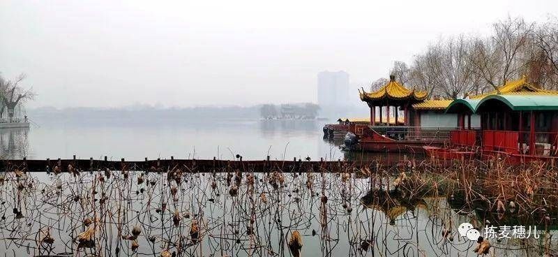 大牌坊|济南故事｜跟我从芙蓉街到大明湖，一起感受济南古城风韵吧