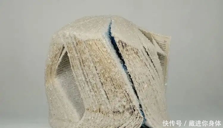 亚历克西斯·&她创作雕塑时“开挂”了:把书丢进水里,等2天作品就完成了