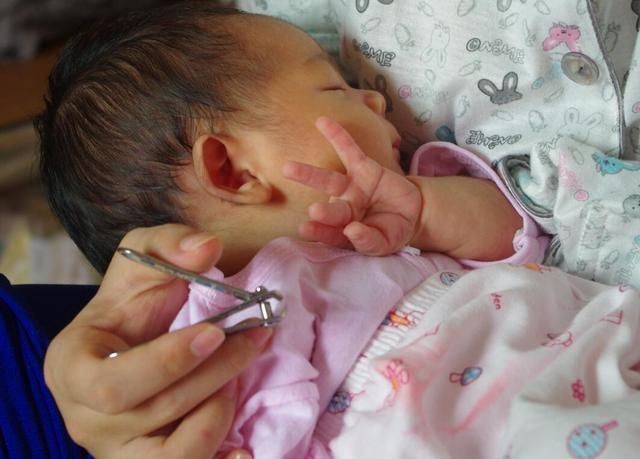 父母|宝宝添加辅食的正确顺序,父母要注意,别盲目乱添加!