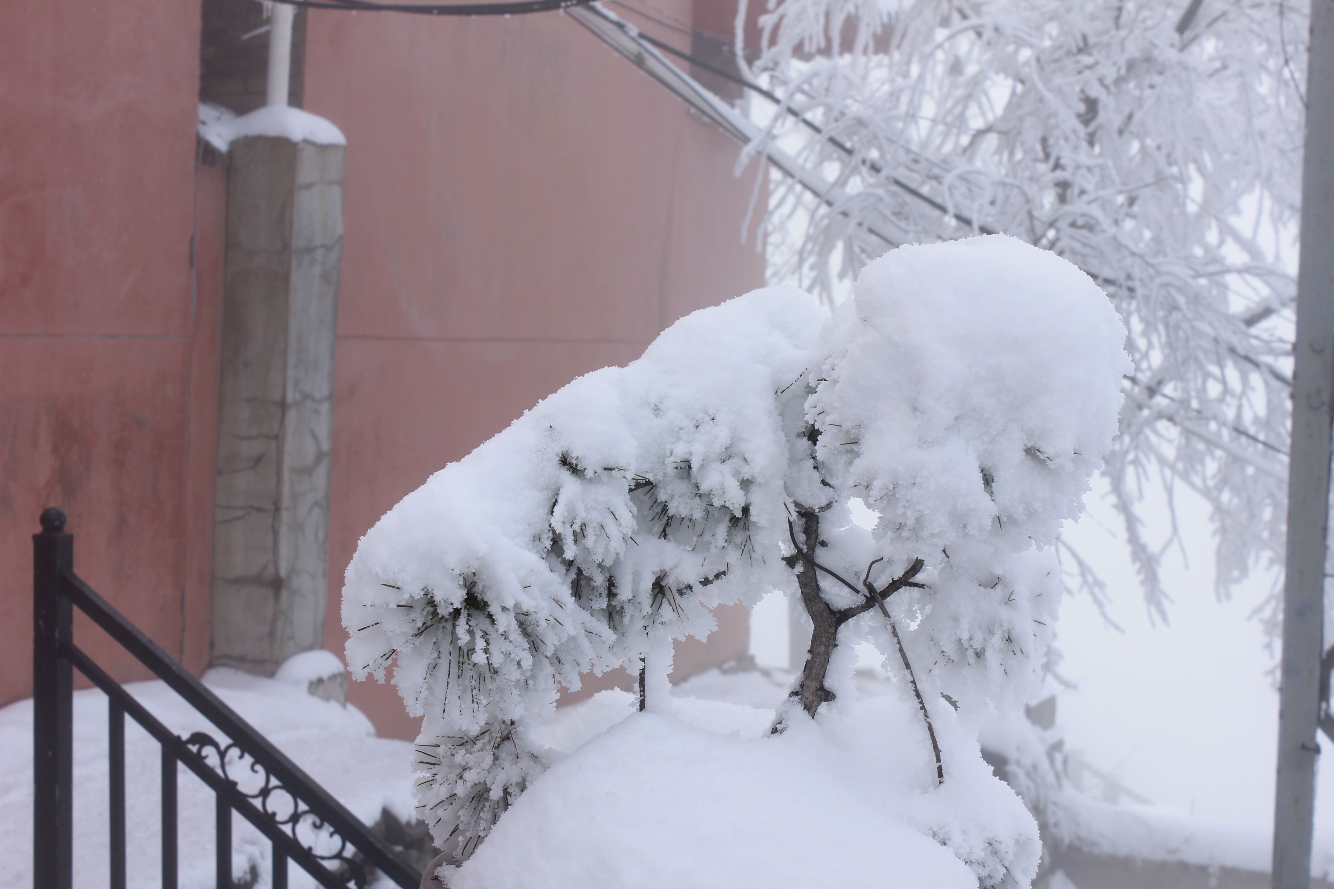 征集|【年末福利征集】雪后南五台幸遇云海