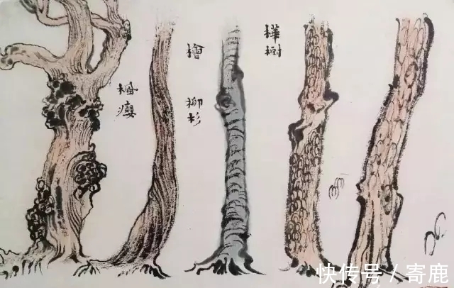画树#国画教程|陆俨少树法