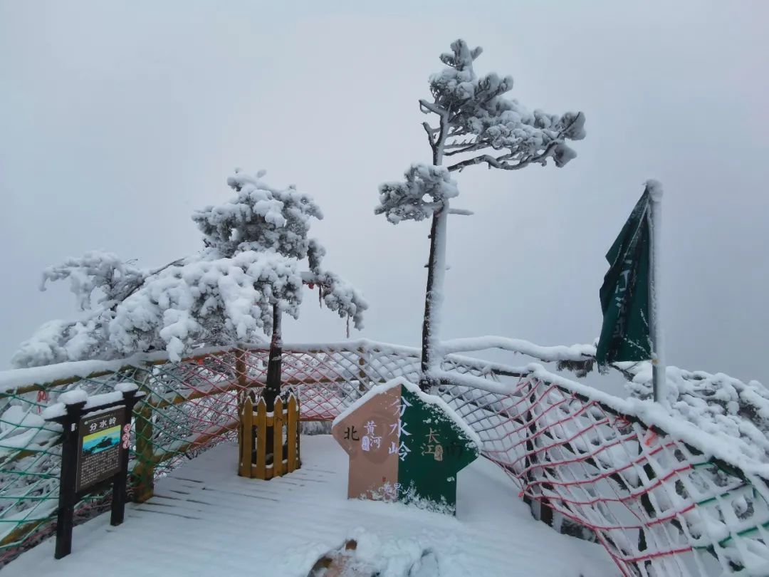 雪景|老界岭又下雪啦！这才是朋友圈最“冻人”的雪景！