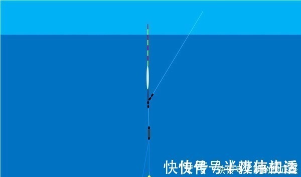 双饵|钓鱼调漂技巧:调四钓二,调五钓三,调二钓四,有哪些区别?